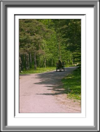 horse cart, farm, farmland, Estonia, Rocca al Mare