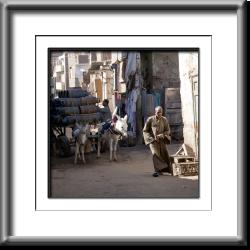 Delivery Egypt, Rural