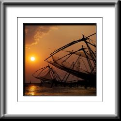 India,Chinese fishing nets,birds