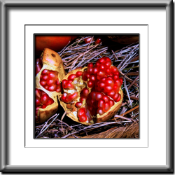 Pomegranate Pomegranate